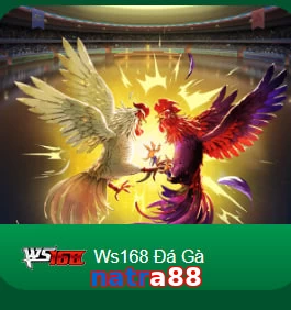 natra88
